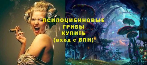 твердый Покров